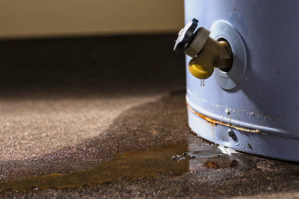 Best Water damage restoration near me  in Spencerville, NM