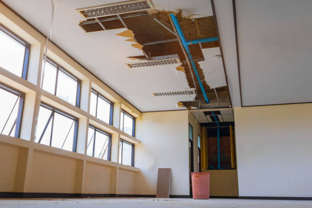 Best Water damage restoration services  in Spencerville, NM