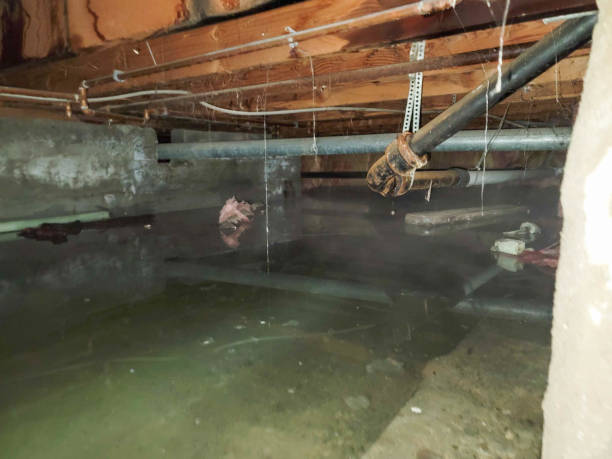 Best Commercial water damage restoration  in Spencerville, NM