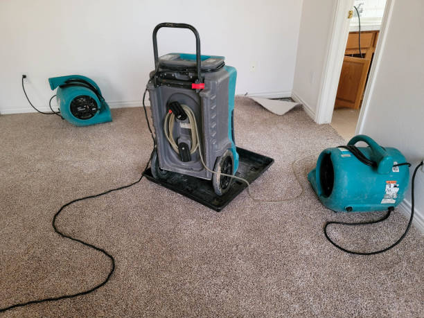 Best Ceiling water damage repair  in Spencerville, NM