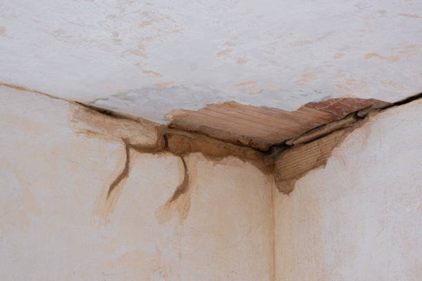 Best Mold removal after water damage  in Spencerville, NM