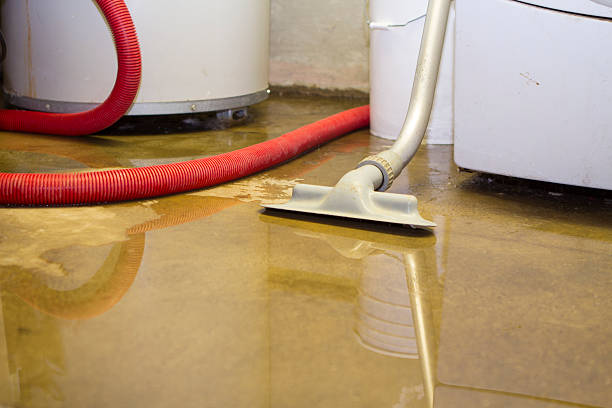 Best Flood restoration services  in Spencerville, NM