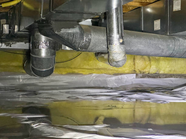 Best Local water damage restoration  in Spencerville, NM