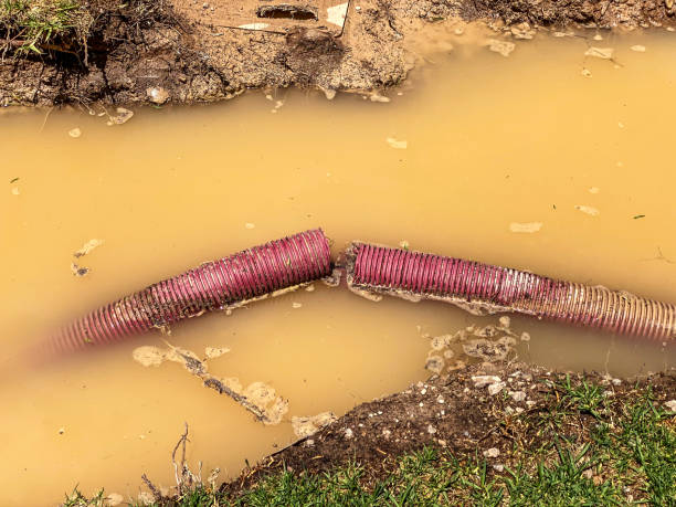 Best Flood damage cleanup  in Spencerville, NM