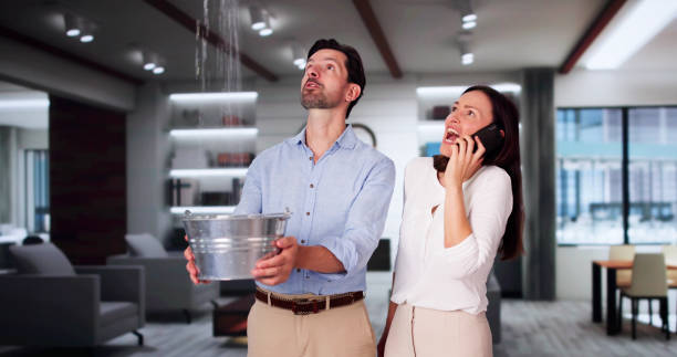 Best Water damage restoration specialists  in Spencerville, NM