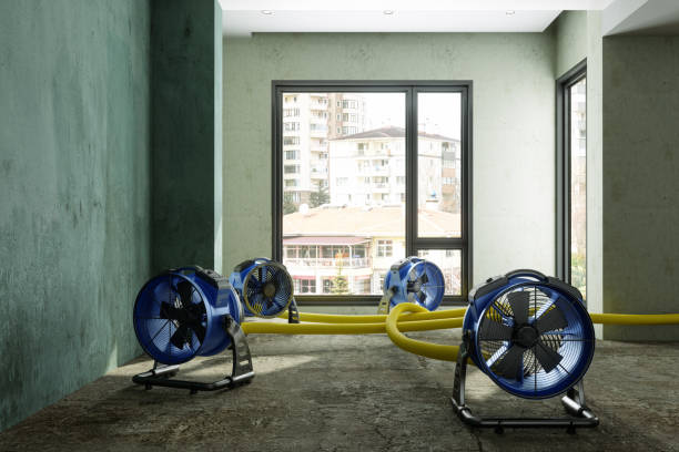 Best 24/7 water damage repair  in Spencerville, NM